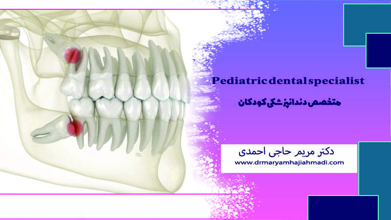 چند دندان عقل داریم